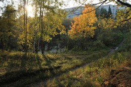 Мостик и осенняя осина на берегу позеленевшего пруда. / Конец сентября,гобеленовая осень.