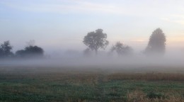знакомой дорожкой / утро, туман, сентябрь, солнце встает, красиво