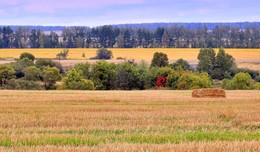 Осенние параллели / Осенние параллели.