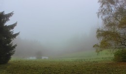 Туманное утро / Опустился плотный туман, но через пару часов маленький пруд засверкает осенними красками