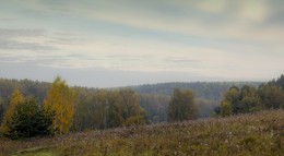 Осень вступает в свои права / ***