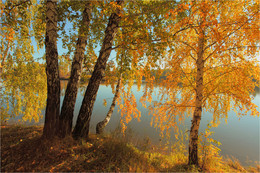 Осень на берегах реки Ия. / Осенний свет...