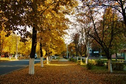 Осень в городе / Железногорск