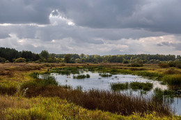 Сентябрьский пейзаж / Озеро Пороще находится в Светлогорском районе.