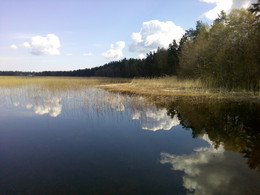 озеро Отрадное 02 / снято смартфоном Philips Xenium V387 без обработки в Photoshop