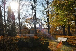 Осень в Таллине / Больше фото по ссылке: http://steklo-foto.ru/photogellary