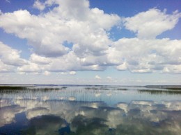 Озеро Отрадное 03 / Снято смартфоном Philips Xenium V387 без обработки в Photoshop.