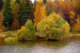 Осень на Долгом пруду / Подмосковье