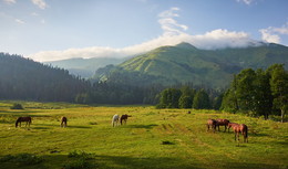 В долине Авадхара / Абхазия
