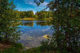 Осень на лесном озере 2 / Осень на лесном озере 2