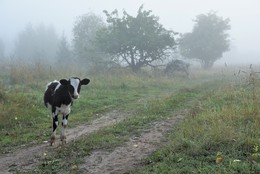 Утро в деревне ... / Деревня ...