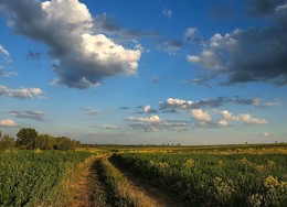 По дороге с облаками... / За околицей