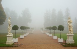 Осеннее туманное утро / Осенее утро в Екатерининском парке...