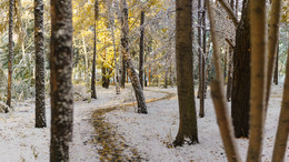 Не бабье лето / Первый настоящий снегопад.

Омск, Советский парк, 7 октября.