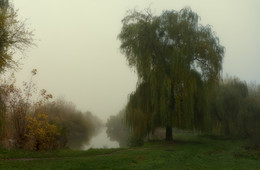Про туман, иву, и тропинку вдоль речки... / осень!