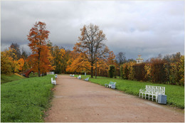 Осень / Александровский парк