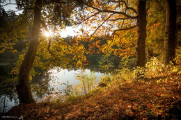 Осенний закат / на озере