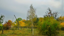 Осенняя разукрашка / октябрь, утро, солнца нет, деревенский пейзаж