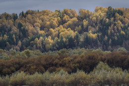 Осенняя разукрашка / Ока, пасмурно, но осень не жалеет красок.