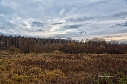 вечерние пейзажи / осень.