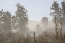 терем для Сивки-Бурки / Курганская область, Куртамыш