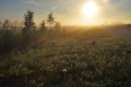 утро стучится / сентябрь, утро, дорога, туман, красиво