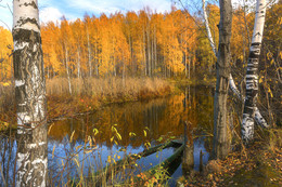 Тишина / Осень на озере
