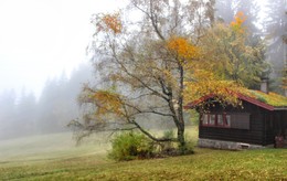 Лесничего домик в тумане / Летняя избушка лесника, зимой постоянно не живут. Понравилась крыша :)