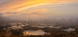 Рассветные туманы / Северная Карелия. Болота близ пос.Лоухи.