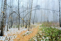 Немного осенней грусти ... / &quot;Красота не постоянна, а перемены неизбежны ...&quot;