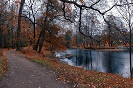 Осень, осень, ну, давай у листьев спросим... / Парк...