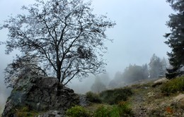 Выше только туман / Осенние туманы в горах. Тропинка вверх для туристов