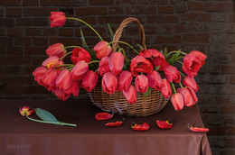 Цветы для ФотоЦентры / Вдруг обнаружила,что я на ФЦ уже как год!
Я многому у Вас научилась,жители ФотоЦентры!
Хочу поблагодарить ВСЕХ этими красными тюльпанами с нашего сада!)