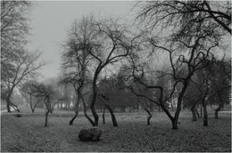 Пятничная граничность / ***