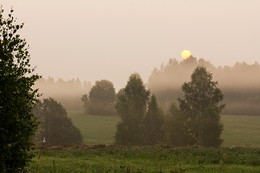Однажды утром / Ранне утро,туман