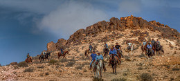 всадники / всадники в пустыне Негев,Израиль