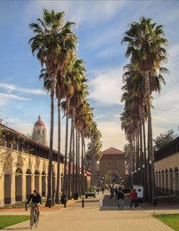 Пальмовая аллея в Стенфорде / Стенфордский Университет - сердце Силиконовой долины в Калифорнии. Это целый городок с учебными корпусами, лабораториями и даже церковью. Очень продуманный средиземноморский стиль архитектуры с интересными скульптурными компрозициями, большинство из которых - подлинники Родена.