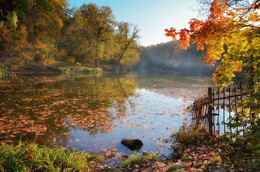 Осень в Платоновском парке / ***