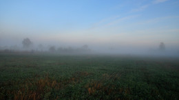 туман ложится на поля / утро, сентябрь, за деревней, туман