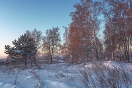 Морозным утром Октября. / -36. На носу уже декабрь а у нас на многих березах до сих пор не опали листья! Так и будут висеть всю зиму:)