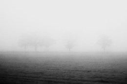 Туманный квинтет ... / Туман ... (из окна поезда)