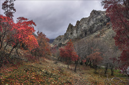 К Арпатским водопадам ... / Крым, горы, осень