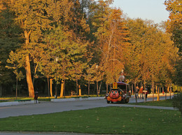 Осенний сон / [img]http://rasfokus.ru/upload/comments/c23224b093cded141a21513b54fb7c44.jpg[/img]Осенний сон в парке дворца ХэмптонКорт-Англия 2012