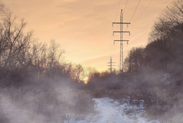 Вечерний туман / Вечерний туман в парке городском