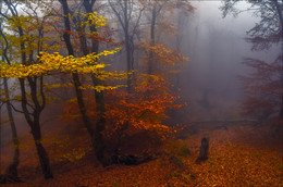 Осени туманной тишина ..... / Крым, горы, осень, туман