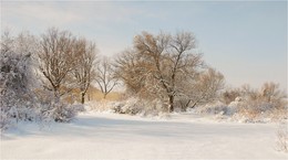 Под снежным покрывалом.... / юг Казахсана