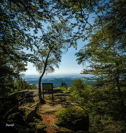 &nbsp; / Bayerischer Wald