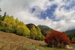 Горы... / Северный Кавказ...