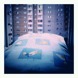 Подушка на подоконнике в Твери летом 2012 примерно / Подушка на подоконнике в Твери летом 2012 примерно