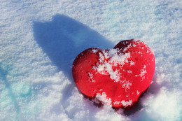 Сердце в снегу / ***